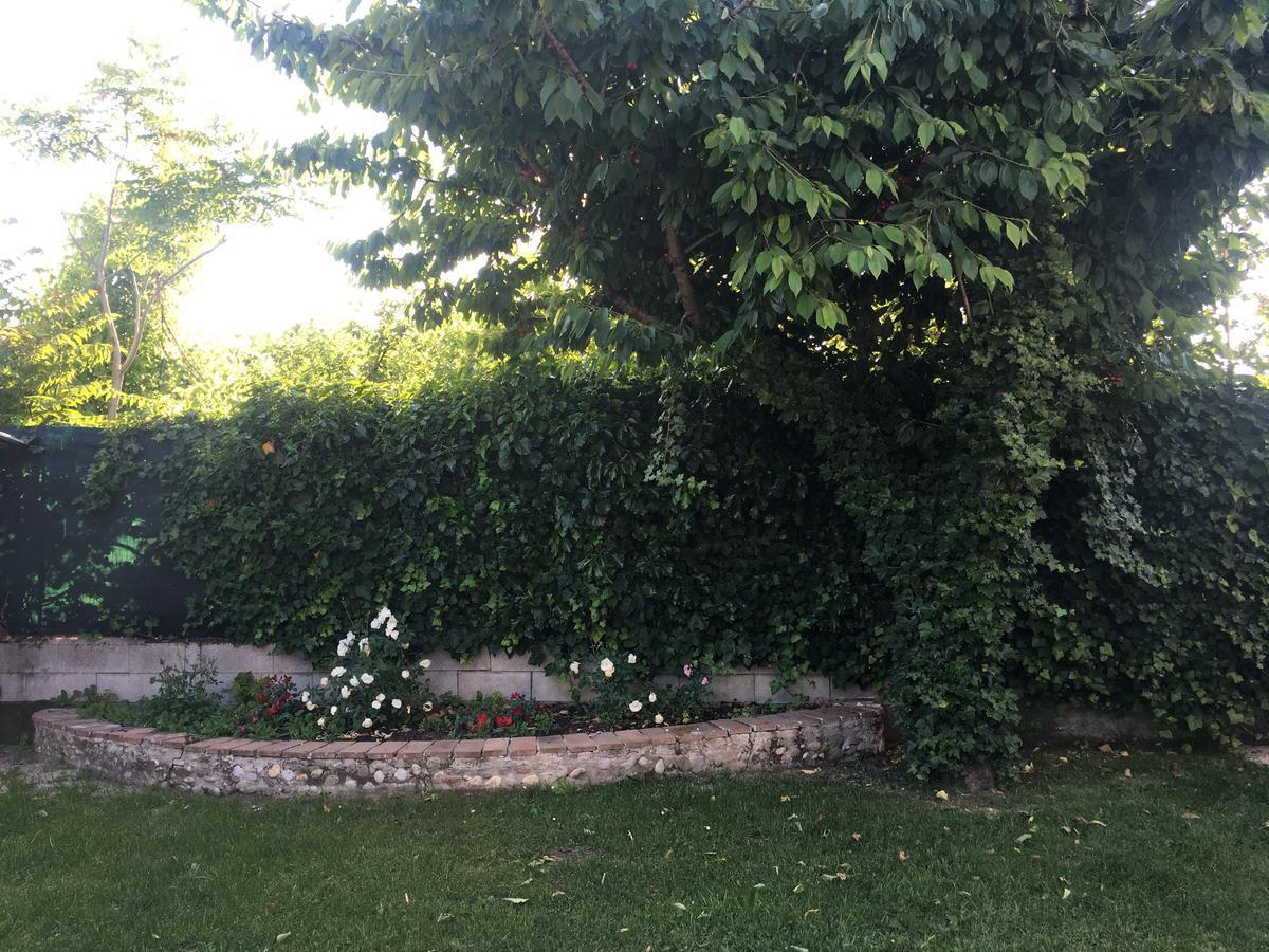 Bed and Breakfast Ca' Le Rose Bagnolo San Vito Exterior foto